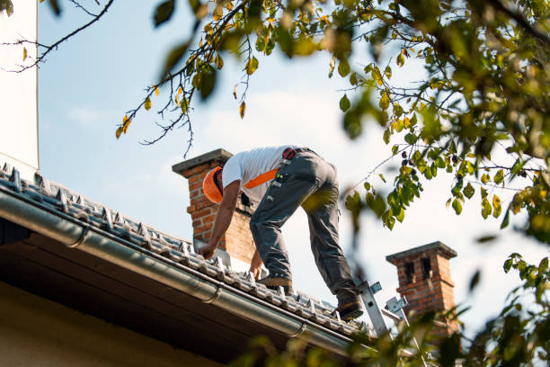 Best Gutter Installation and Roofing  in Hickman, KY