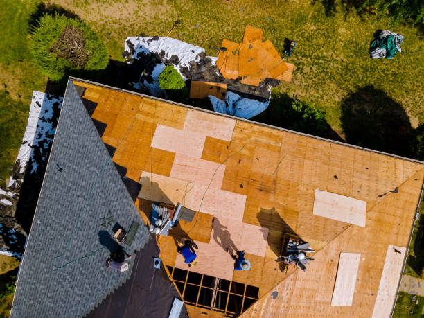 Best Roof Leak Repair  in Hickman, KY