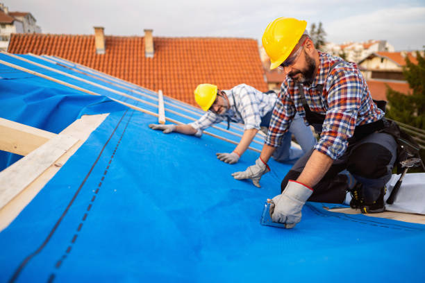 Best Emergency Roof Repair  in Hickman, KY