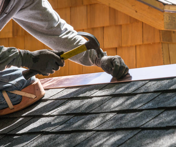 Best Roof Gutter Cleaning  in Hickman, KY